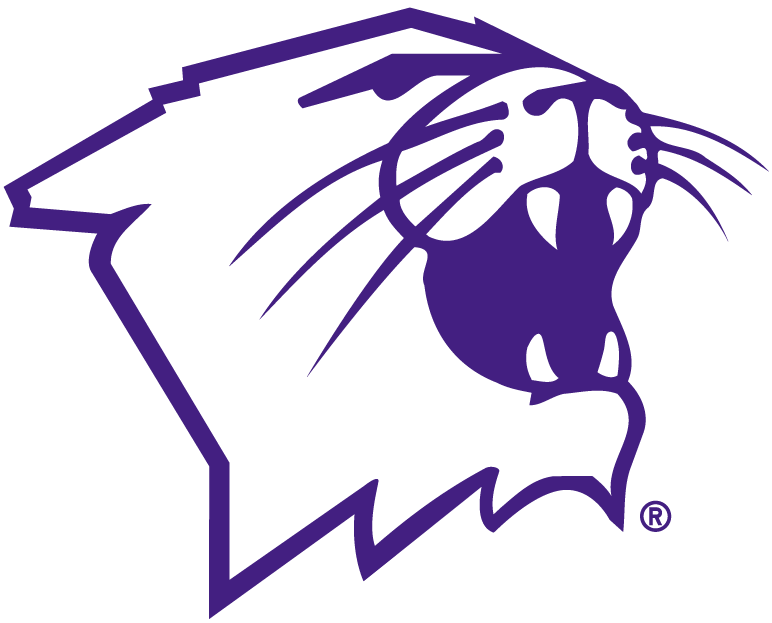 Northwestern Wildcats 1981-Pres Partial Logo iron on transfers for T-shirts